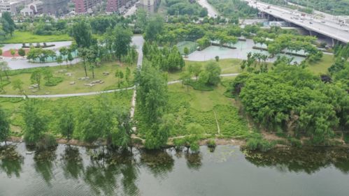 颍河桥下福利特辑 | 一河一园美景如画，三重狂欢豪礼抱回家